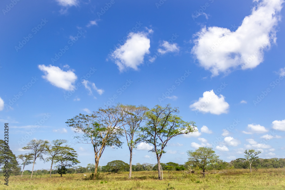 beautiful landscape in venezuela