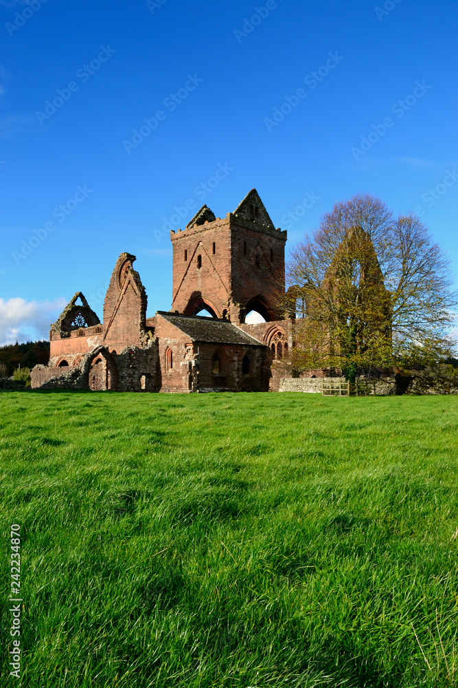 The old ruins of Sweetheart Abbey - an old Cistercian monastery - located in the village of New Abbey, Dumfries and Galloway, Scotland.