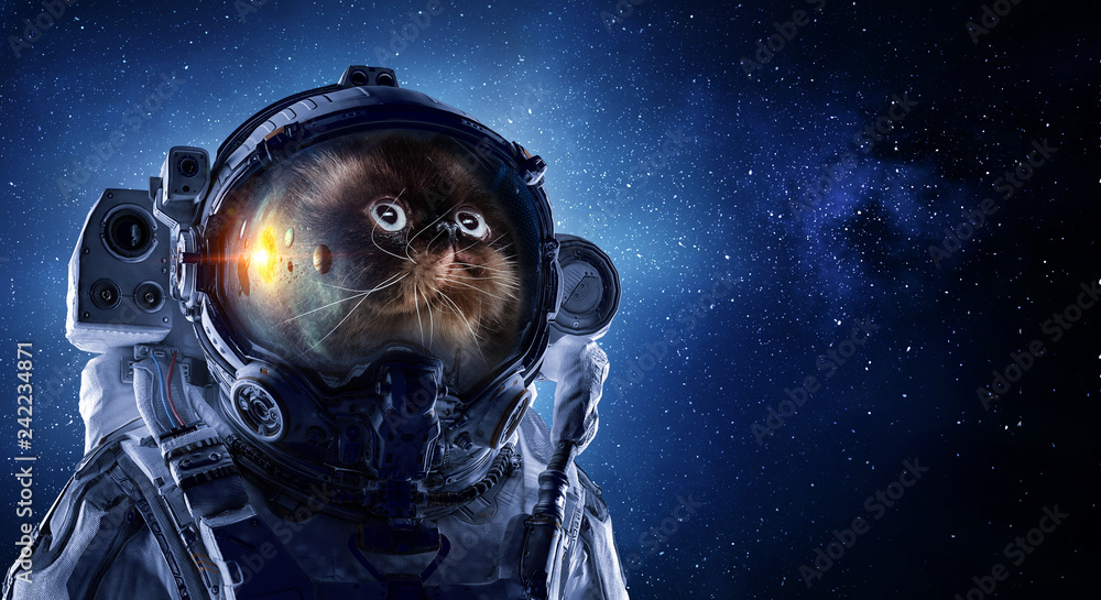 First trip to space. Mixed media First trip to space. Mixed media