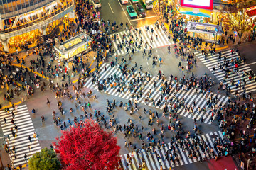 Wandcirkels Tokio Shibuya Crossing oversteekplaats Tokio  © anekoho