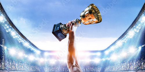 Fotografie His great victory