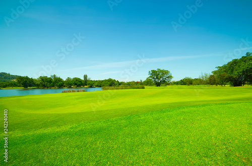 Green grass field and blue sky .
