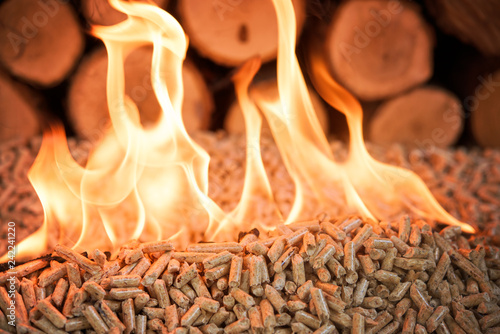 Burning pellets and pile of wood photo