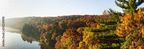 Fototapeta Autumn colors on the Illinois River as the morning sun lights up the tree tops