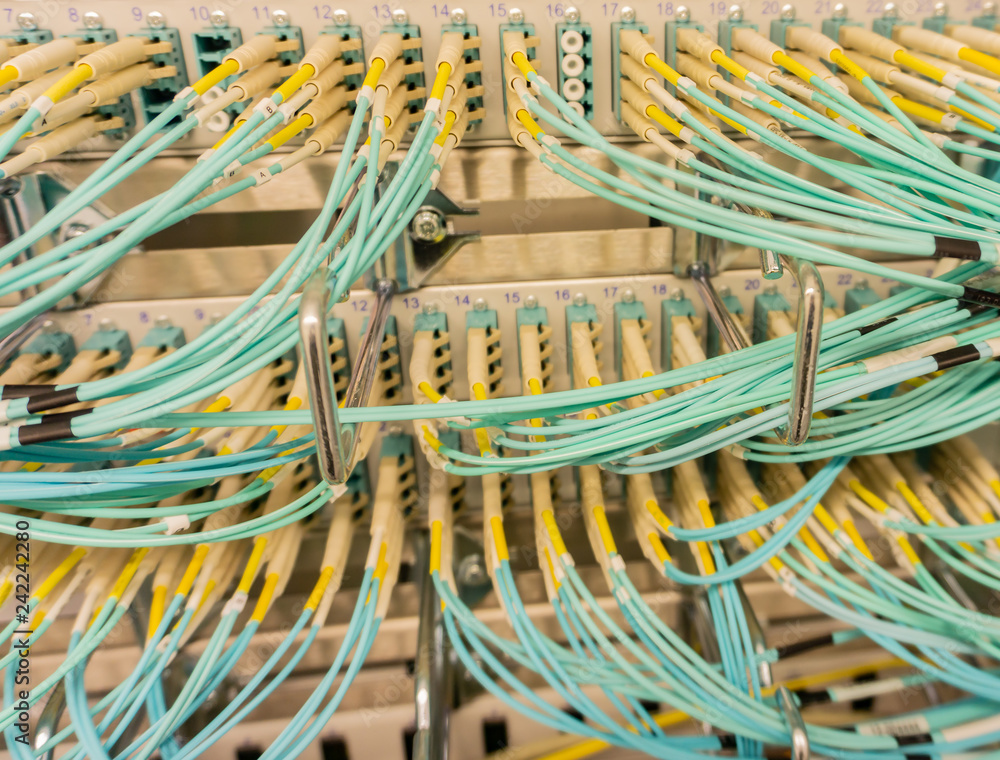 Netzwerk Switch und Netzwerkkabel in einem Rechenzentrum Netzwerk Switch und Netzwerkkabel in einem Rechenzentrum