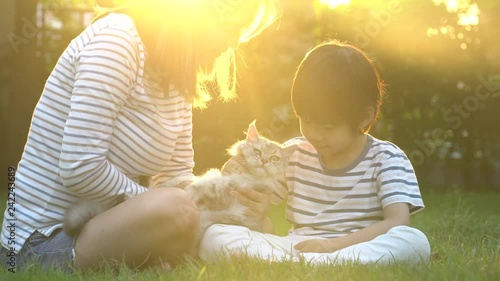 Asian mother and her son playing with persian cat in the park outdoor