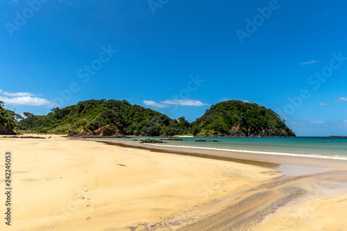 Matapouri Beach on the North Island of New Zealand.