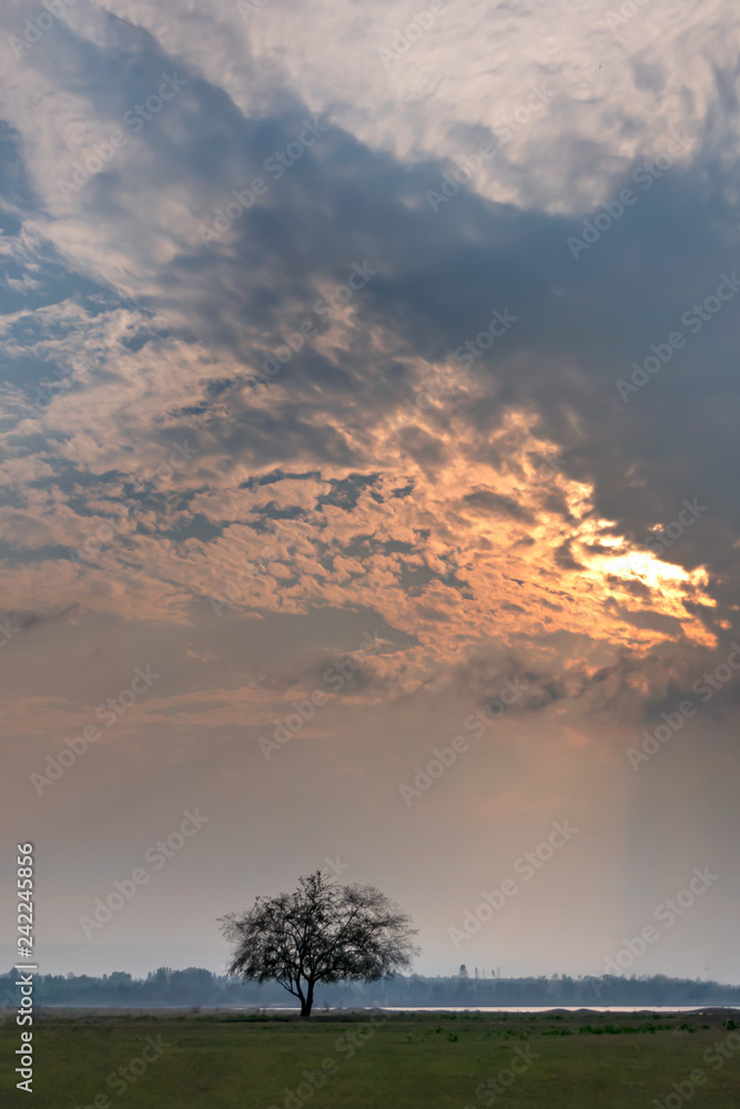 Fototapeta premium Beautiful natural landscape