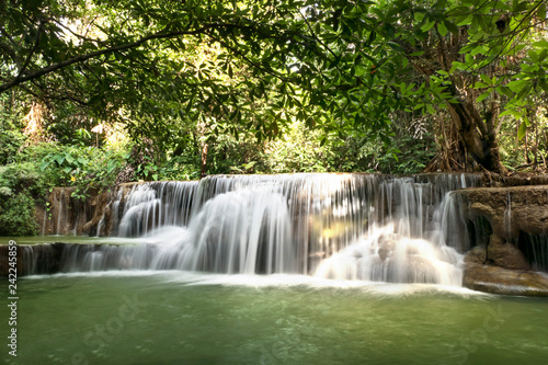 Fototapeta Naklejka Na Ścianę i Meble -  waterfall in rainforest