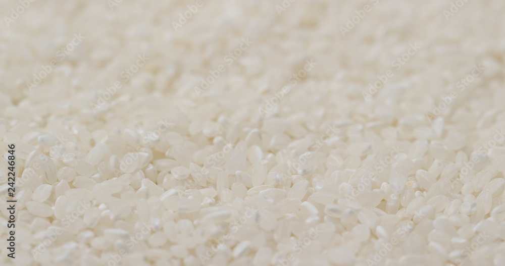 White uncooked rice White uncooked rice