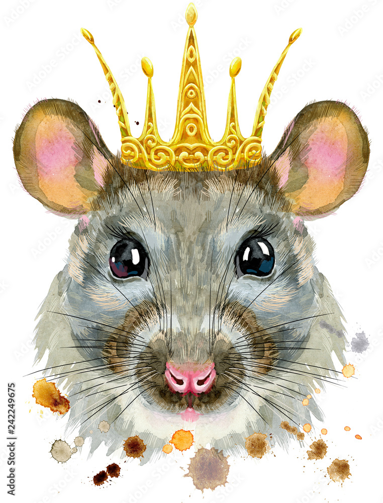 Watercolor portrait of rat with golden crown Stock Illustration | Adobe ...