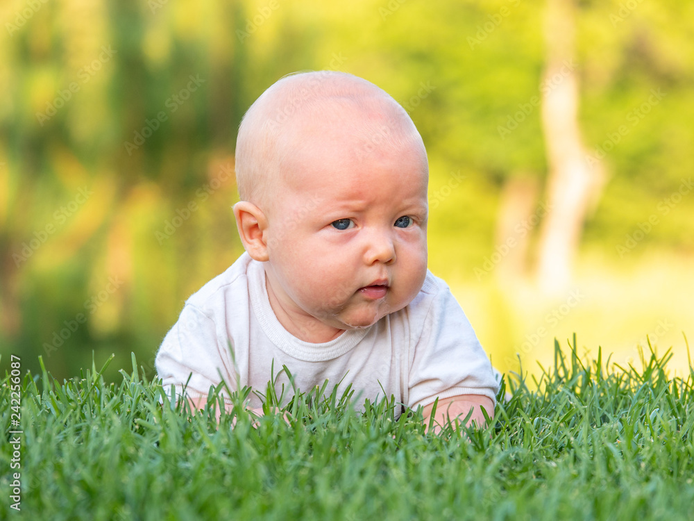 The baby lies or crawls along the green lawn at sunset and is looking ahead seriously. Emotions baby. Vacation with children. Childcare. Goods for kids. Sun protection. Child development. The baby lies or crawls along the green lawn at sunset and is looking ahead seriously. Emotions baby. Vacation with children. Childcare. Goods for kids. Sun protection. Child development.