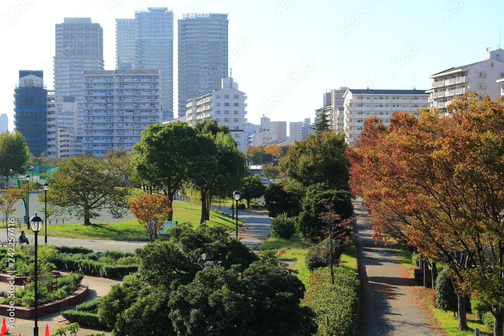 秋の紅葉を迎える南千住の都市公園と高層マンション群