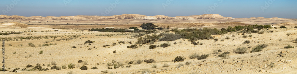 a panorama of the negev highlands desert in winter looking northwest from shivta national park