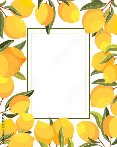 Lemon card. Handpainted  vector lemon illustration. Use for postcard, print, invitations, packaging etc.