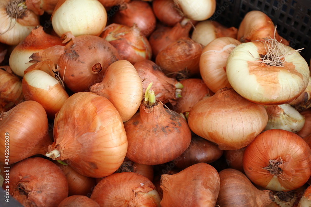 Onion and Garlic Isolated on White Background, Top View. Wallpaper Abstract  Composition of Vegetables. Stock Image - Image of healthy, pepper: 112073153