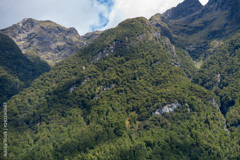 Fototapeta premium milford sound new zealand
