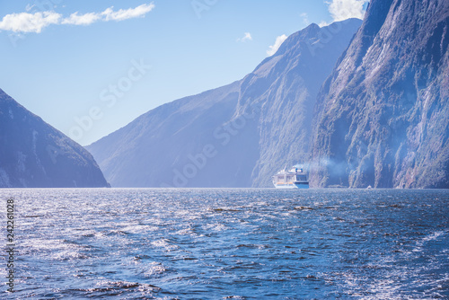 iceberg in milford sound new zealand