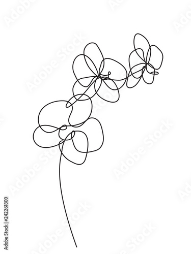 Hand drawn orchid flowers. Black and white vector illustration