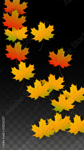September Vector Background with Golden Falling Leaves. Autumn Illustration with Maple Red, Orange, Yellow Foliage. Isolated Leaf on Transparent Background. Bright Swirl. Suitable for Posters.