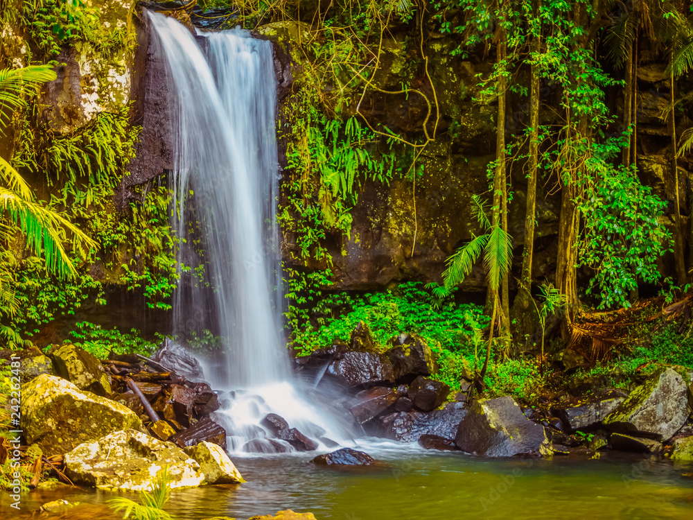 Obraz premium waterfall in the forest