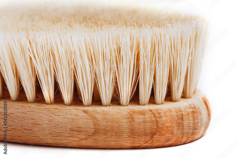 Macro photo of cactus fiber brush isolated on white. Spa beauty concept. Macro photo of cactus fiber brush isolated on white. Spa beauty concept.