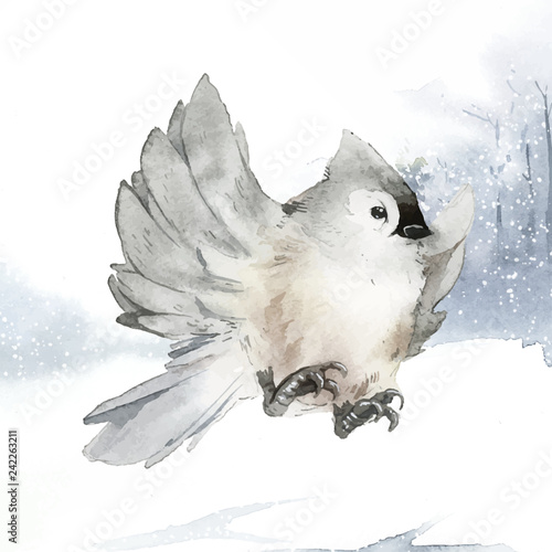 Tufted titmouse bird in wintertime watercolor vector