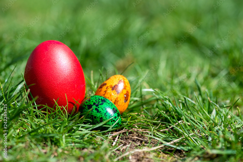 Easter background with colorful eggs over fresh green grass - copy space Easter background with colorful eggs over fresh green grass - copy space