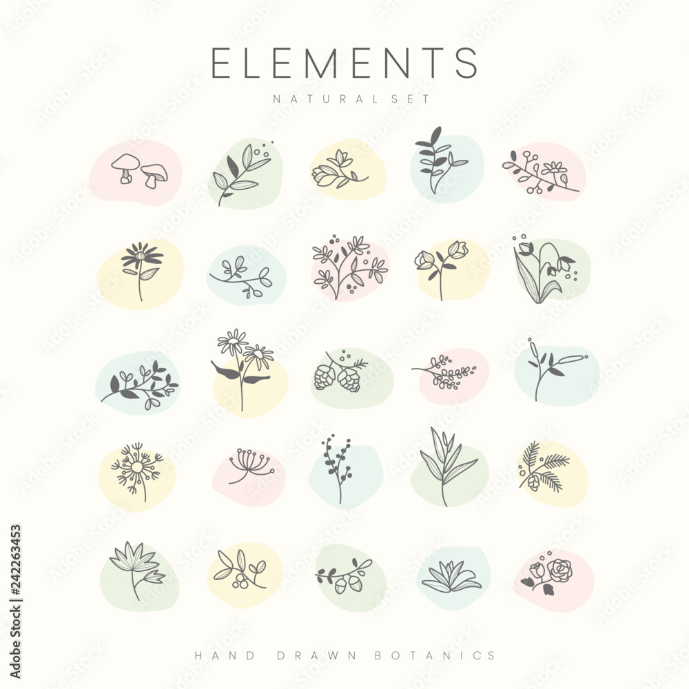 Set of hand drawn botanical elements vector Set of hand drawn botanical elements vector
