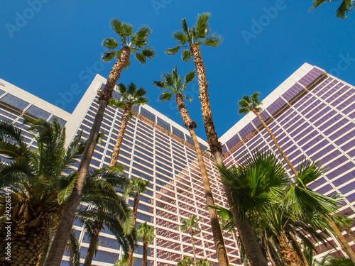 Bottom view to palms and hotel building against blue sky. © Anton Gvozdikov