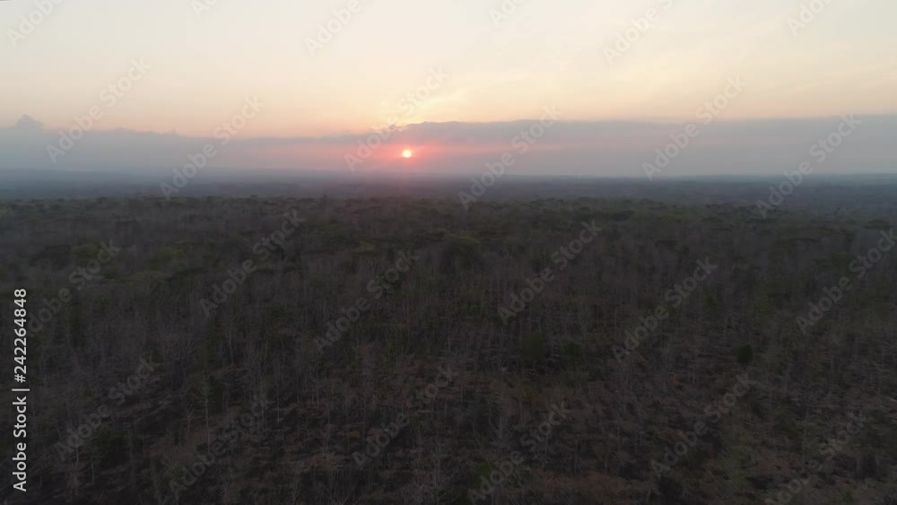 aerial view sunset over savannah forest. foothill rainforest at sunset time. sunset over the savanna landscape java, indonesia. aerial view sunset over savannah forest. foothill rainforest at sunset time. sunset over the savanna landscape java, indonesia.