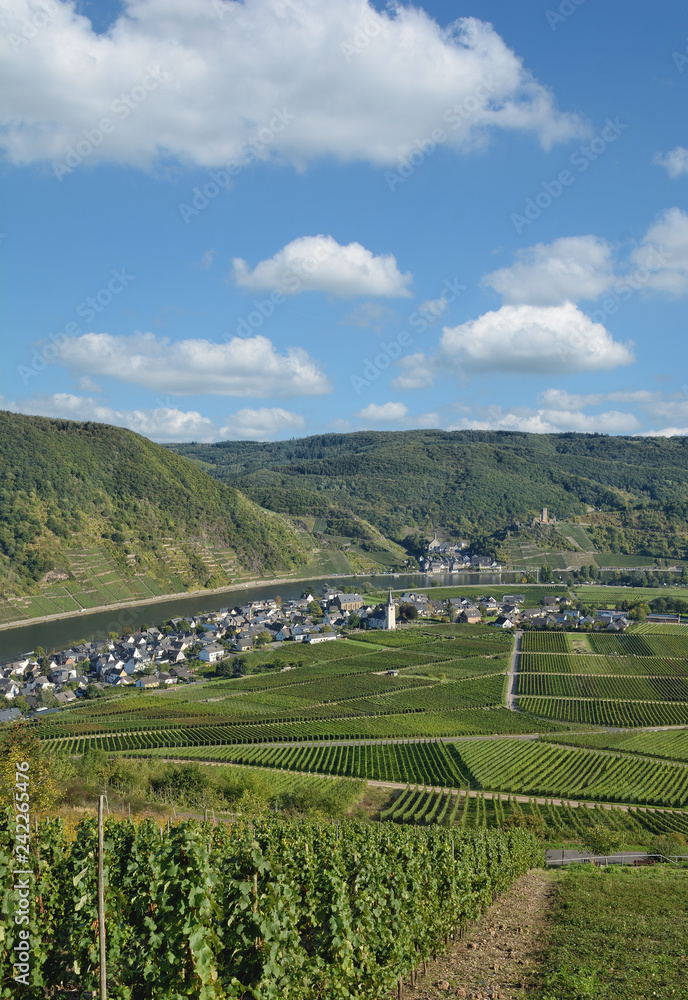 Weinorte Beilstein und Ellenz-Poltersdorf an der Mosel,Rheinland-Pfalz,Deutschland