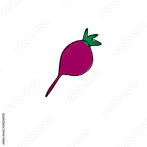 Beets icon in sketch style. photo