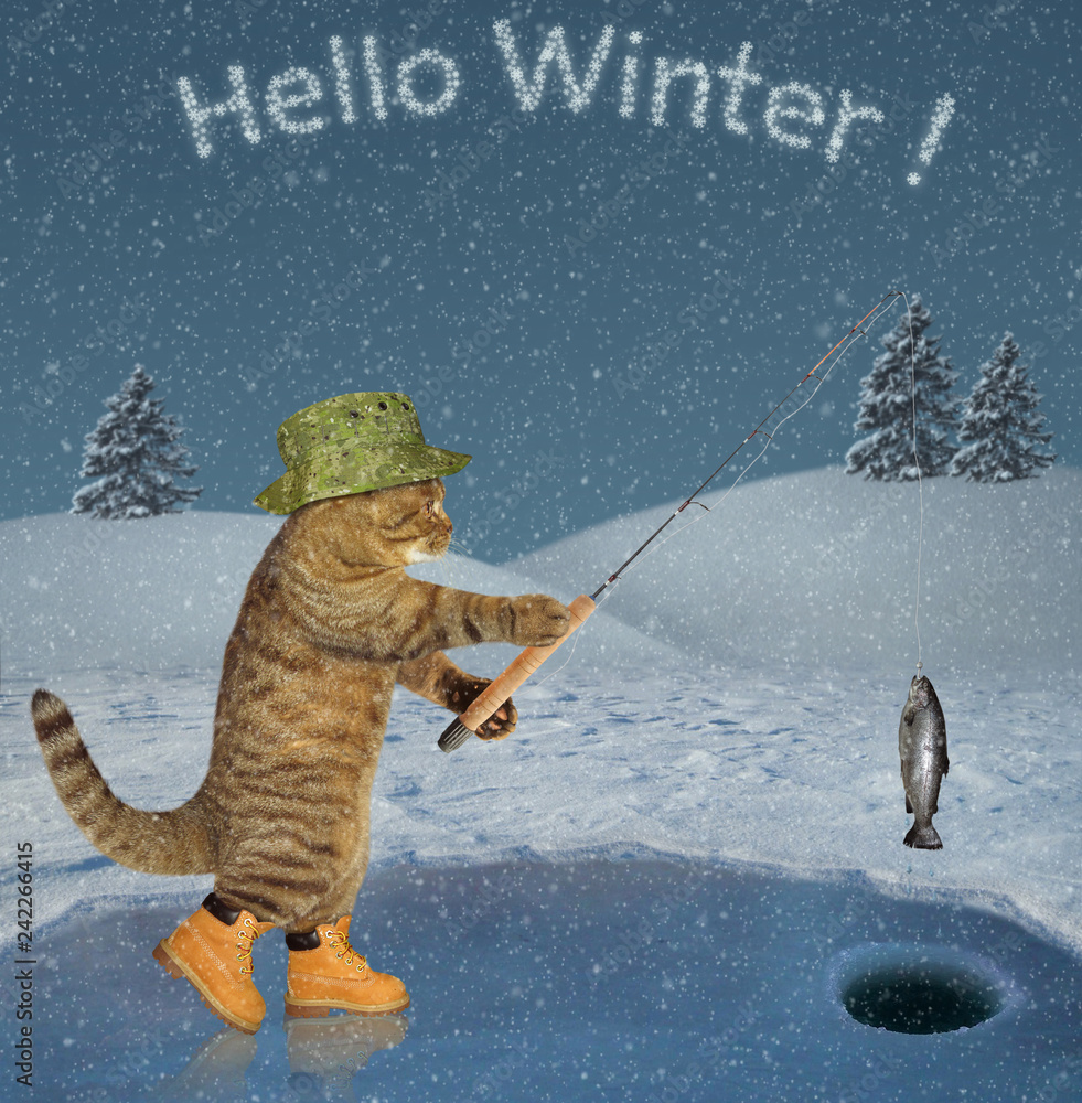 The cat in a green hat and boots is in ice fishing on a frozen