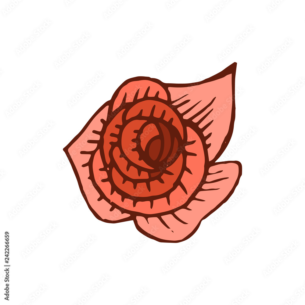 Rose icon in hand drawn style Rose icon in hand drawn style