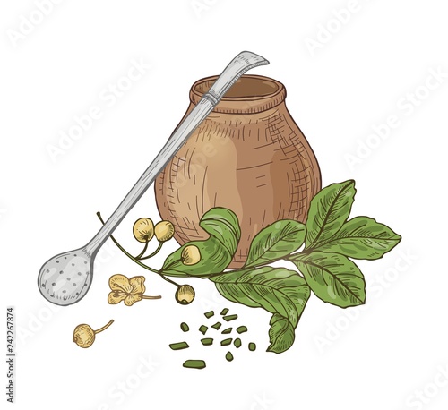 Composition with mate tea in traditional calabash, bombilla straw, flowers and leaves isolated on white background. Tasty herbal natural hot drink, aromatic beverage. Hand drawn vector illustration.