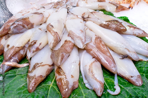 A pile of Fresh squids on a green leaf and ice sold on fish market in Barcelona photo