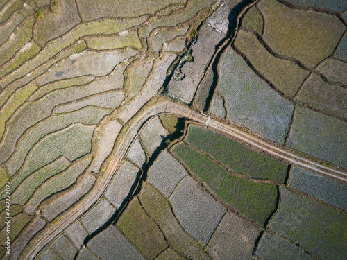 Aerial view of a dirt road accross paddy fields in Nepal. Winter season.