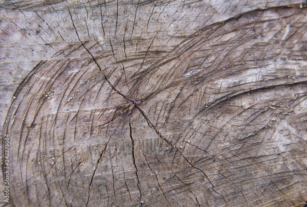 Fototapeta premium brown timber wood log texture background wallpaper backdrop