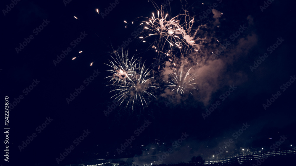 fireworks in the night sky fireworks in the night sky