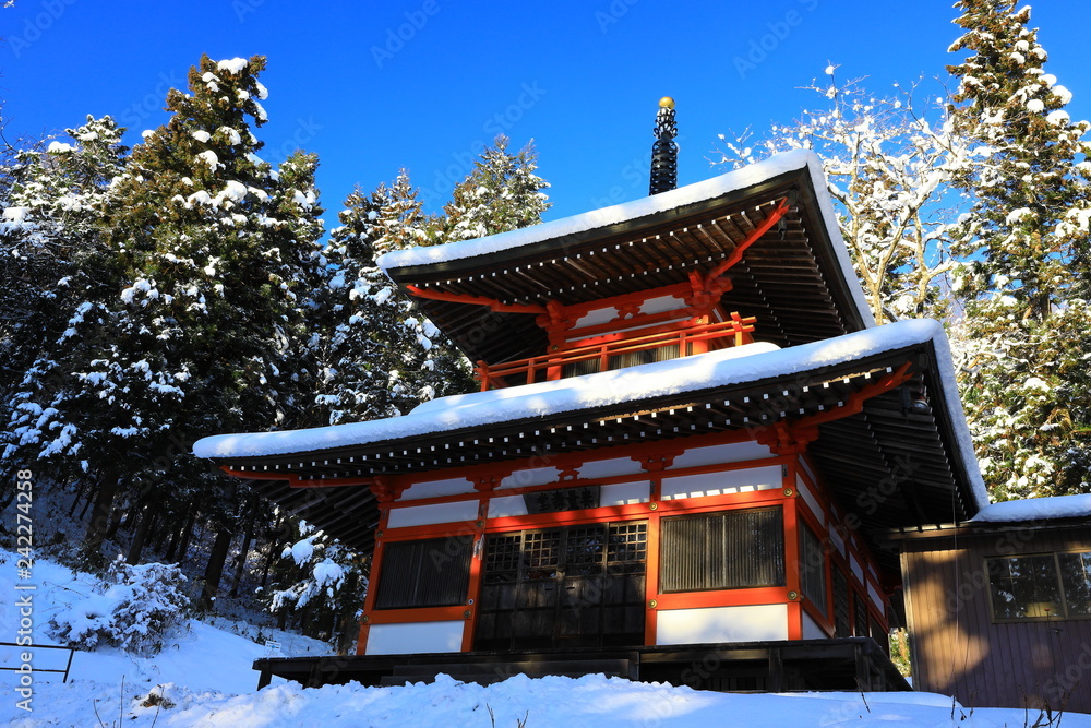冬の極楽寺 冬の極楽寺