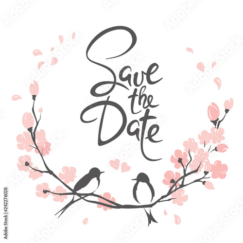 Wedding invitation, crad. Vector illustration, swallows on a flowering cherry branch