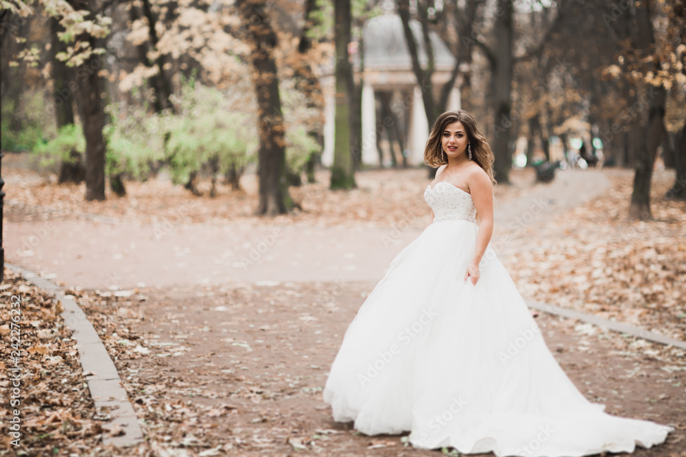 Beautiful bride posing in wedding dress outdoors