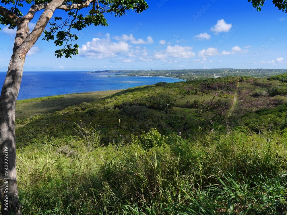 Fototapeta premium Coastal view of Tinian seen from an overlook with San Jose village in the far distance