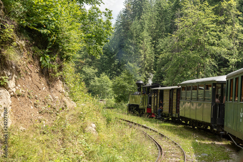 July 4, 2018 - Mocanita Steam Train in Vaser Valley, Bucovina, Romania