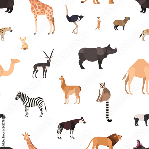 Seamless pattern with wild African animals on white background