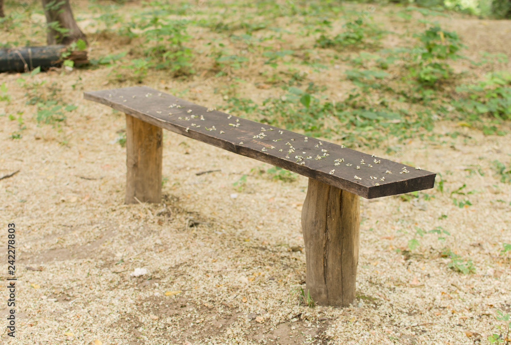 Old wooden bench in the park, blurred image. Old wooden bench in the park, blurred image.