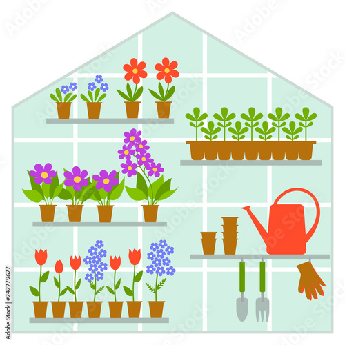 Garden greenhouse with tropical plants in pots. Set of houseplants and flowers in a pot in flat style. 