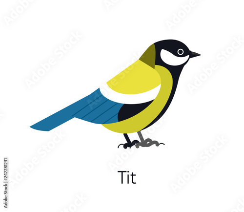 Great tit isolated on white background