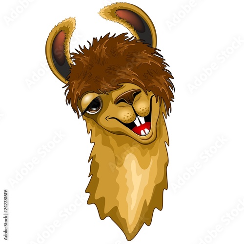 Llama Funny Happy Face Cartoon isolated on White Vector Illustration